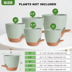 Set of 5 Self - Watering Indoor Plant Pots with Drainage, Various Sizes (S - 5PCS)