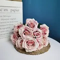 Rose beige color
