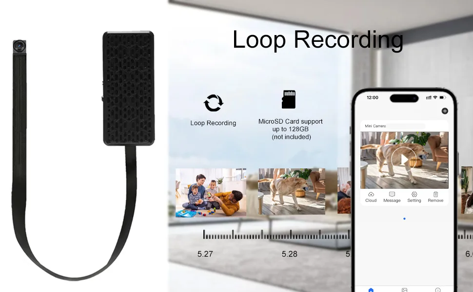 remote viewing app interface