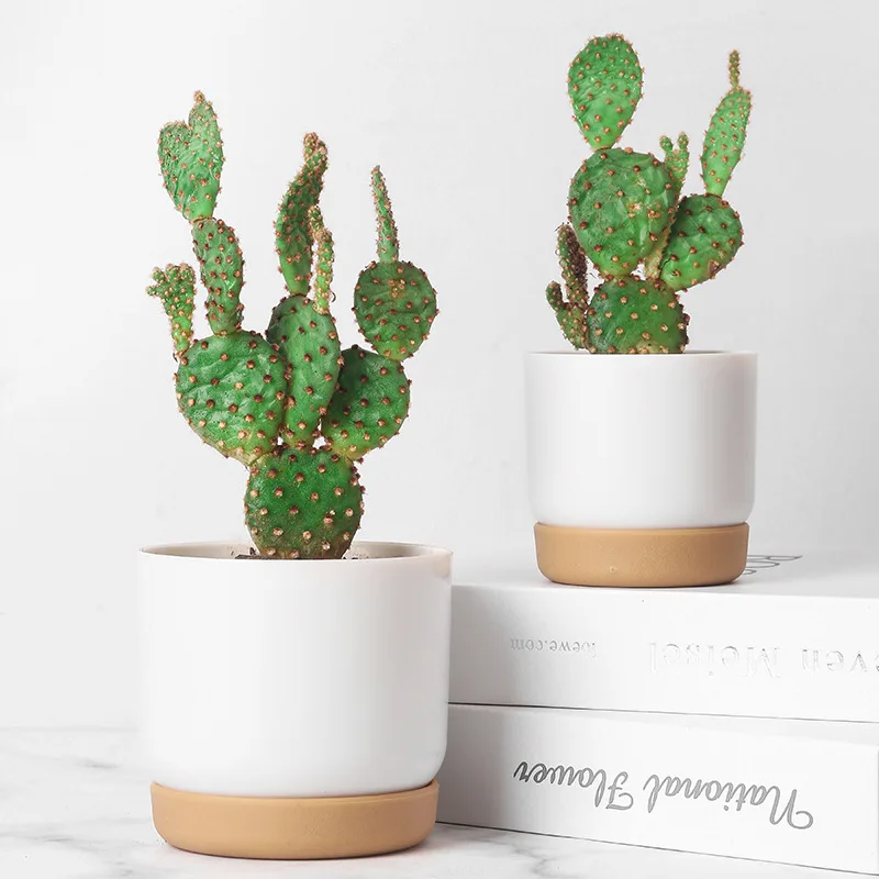 Duebel Sukkulenten Blummendëppen Planzer Kreativ Vase Gréng Planzen Dëppen Vase Dëschdekoratioun Blummendëppen Fir Gaart Heemdekoratioun_voghion.com