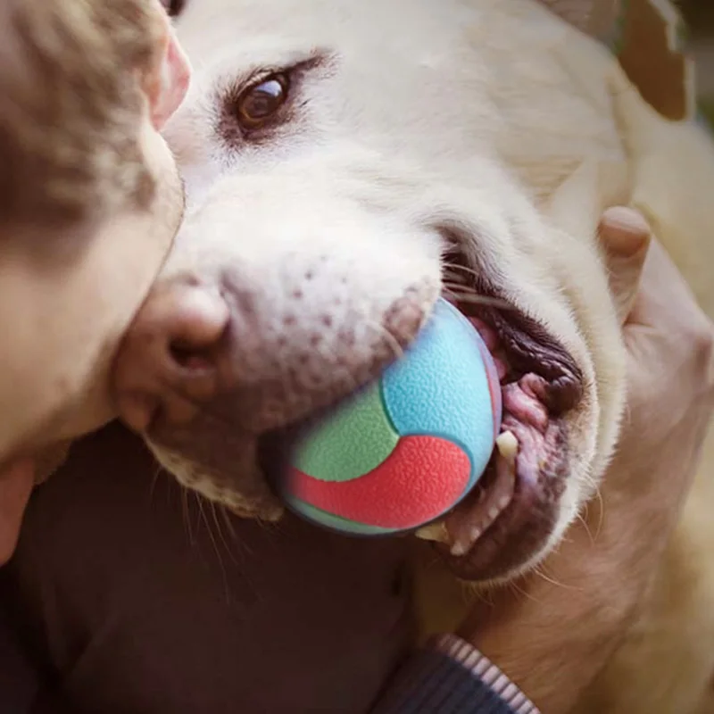 Pet Dog Toys Bite Resistant Bouncy Ball Toys for Small Medium Large Dogs Tooth Cleaning Ball Dog Chew Toys Pet Training Products 5