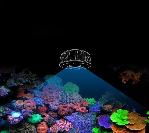 A7+ サンゴ 海水用LED A7+ サンゴ 海水用LED - メルカリ
