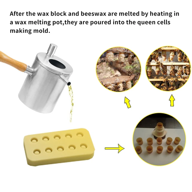 Queen Cella Csészék Szilikon Cellák Penészkeverék -Tenyésztő Szerszám Méhészet Méhviasz Készítése - Image 2