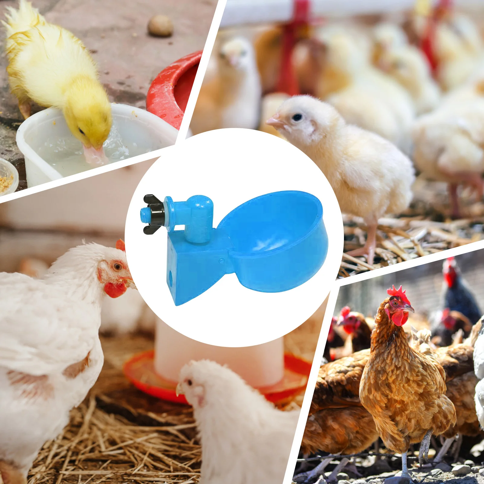 Chicken Duck Drinking Cup poultry drinking cups poultry water dispenser poultry feeder poultry waterer 6-60pcs Automatic Drinker Plastic Poultry Farm Water