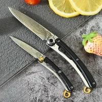 Outdoor Portable Folding Knife, Stainless Steel Blade, Keychain, Pendant, Travel Camping Tools, Holiday Gifts 1