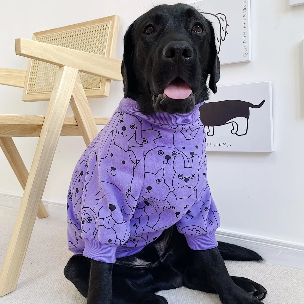 DIAMOND*G ペット服 カシミヤ S DIAMOND*G ペット服 カシミヤ S