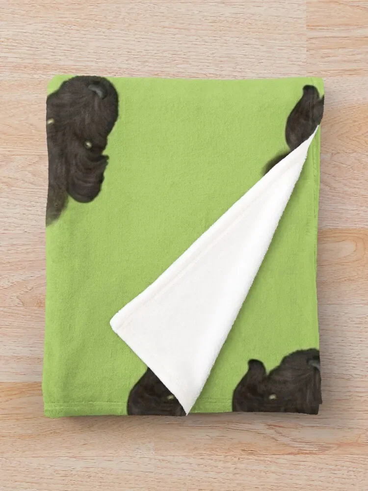 �� 2 �� ������ ���, �� ���Ÿ� ������, ���� ħ�� �м� ���� ���