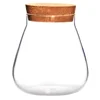Cork Glass Bottle Plant Small Mason Jars Round Terrarium with Lid Basket Clear Succulent Pot Display Suite Decorate 1