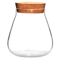 Cork Glass Bottle Plant Small Mason Jars Round Terrarium with Lid Basket Clear Succulent Pot Display Suite Decorate 1