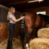 Horse Tail Protector Equine Protective Accessories Breathable Equine Tail Guard For Turnout Outing Stable Racing Competition
