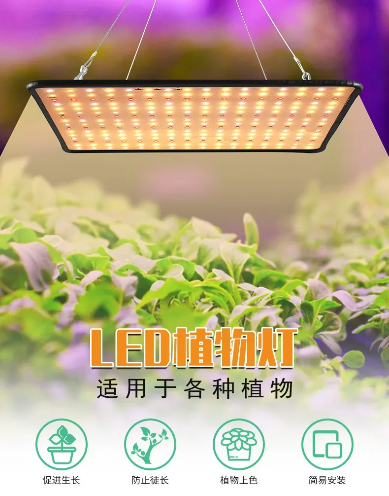 Description Picture 2 of itemIndoor Plant Grow Light EU/AU/UK/US Plug Multiple Colors Available Latest Growing Lamps Led Full Spectrum Plant Bulb Greenhouse