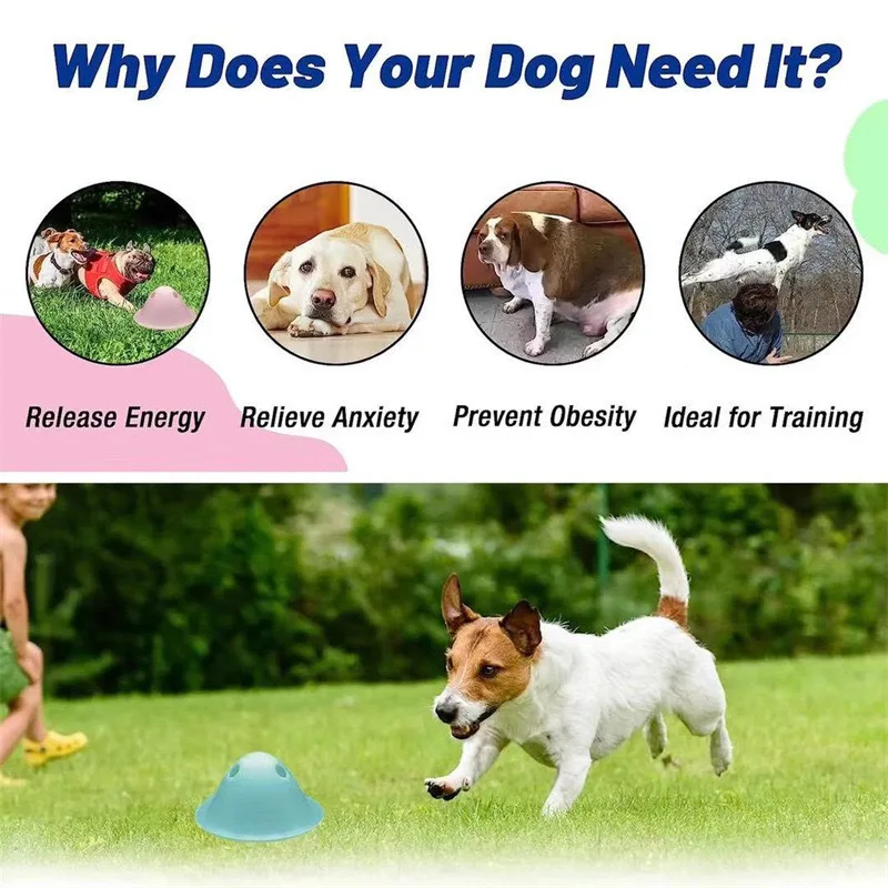 Interactive toys to chew large dogs, chewing toys, hidden candy, interactive puzzles, pet supplies, new 3