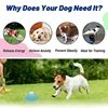 Interactive toys to chew large dogs, chewing toys, hidden candy, interactive puzzles, pet supplies, new 3
