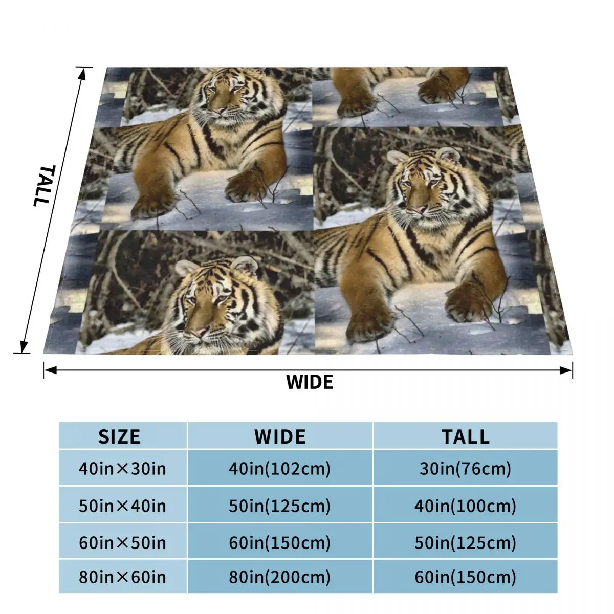 �ú����� ȣ���� ��ȣ�� ��Ʈ ���� ������ ���, �Ϳ��� ���� ���, �� ���