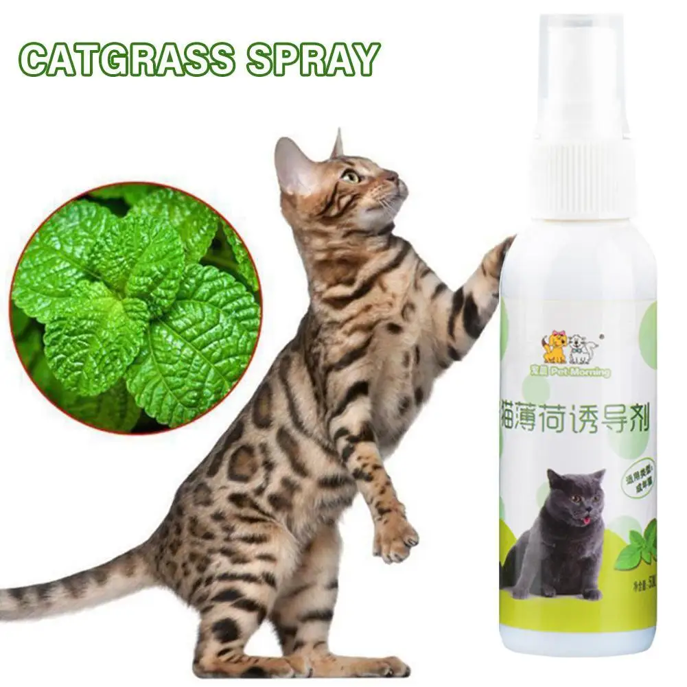 50ml Natural Healthy Cat Catnip Spray Safe Long-term Effect Inducer Pet Training Spray Soothe Mood Scratching Pad Pet Supplies