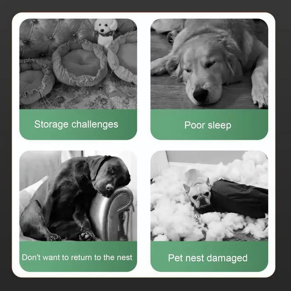 S20c404cca98d4527b8497c774c859f8ei