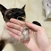 Clear Pet Hair Memorial Box Transparent Keepsake Container for Cat/Dog Fur DIY Display Case for Pet Hair 2