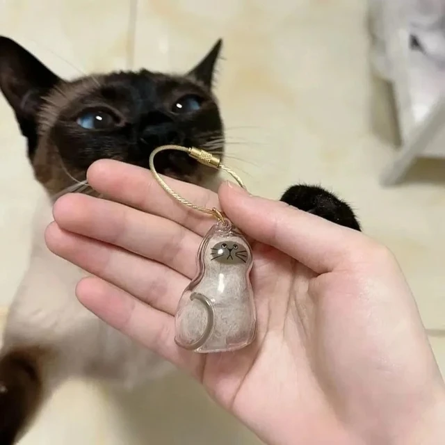 Clear Pet Hair Memorial Box Transparent Keepsake Container for Cat/Dog Fur DIY Display Case for Pet Hair 2
