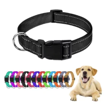 Reflective Nylon Dog Collar 1