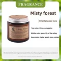 Misty Forest