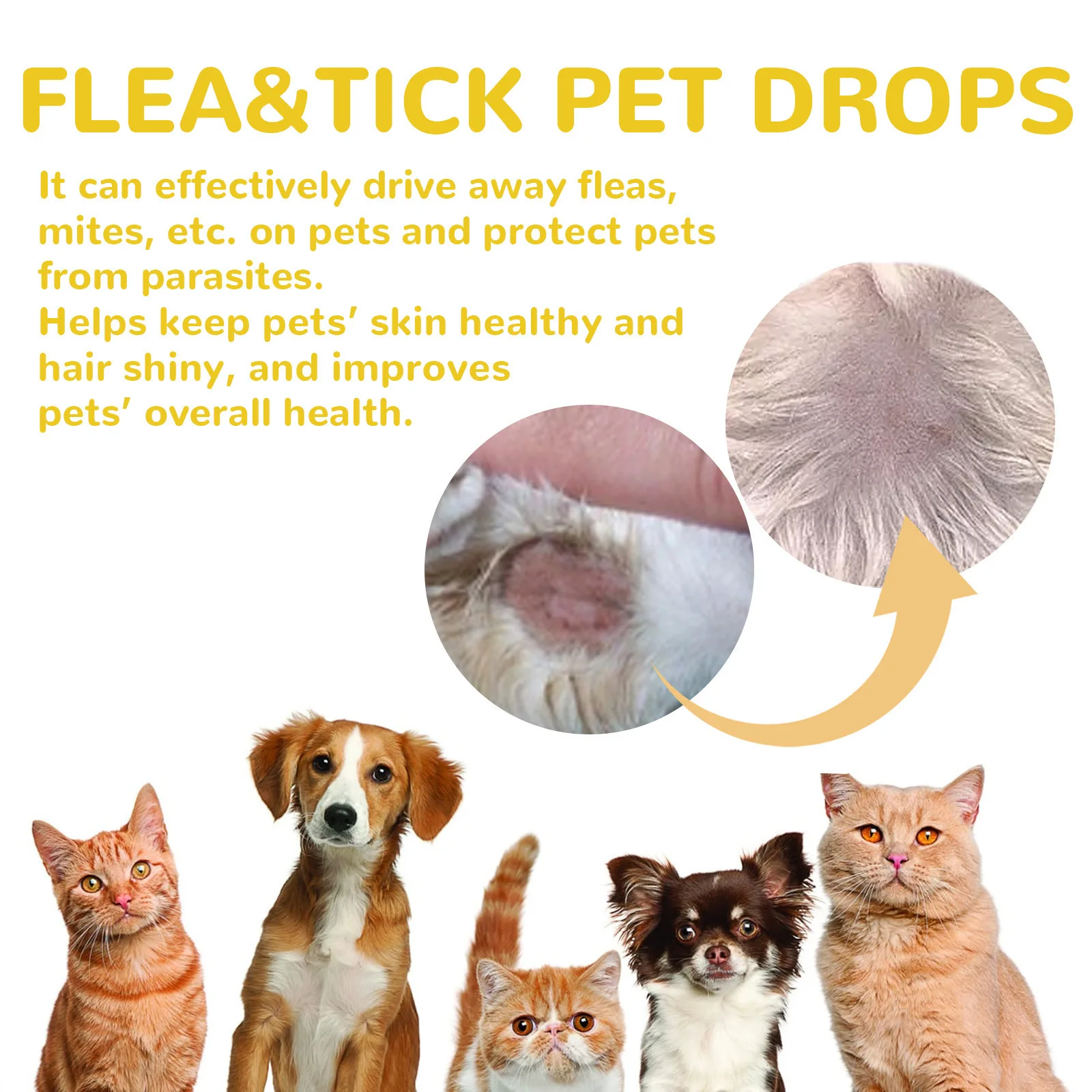 Pet Extracorporeal Insect Repellent Drops Cat and Dog Cleansing Extracorporeal Flea Lice Tick Skin Anti-Itching Care