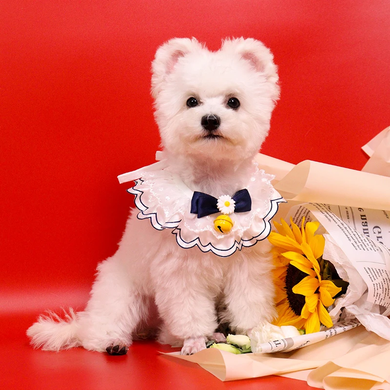 Beagle Collars Harnesses Leads Necklace Dog Beagle Pet Dog Collars Beagle Dog Aliexpress