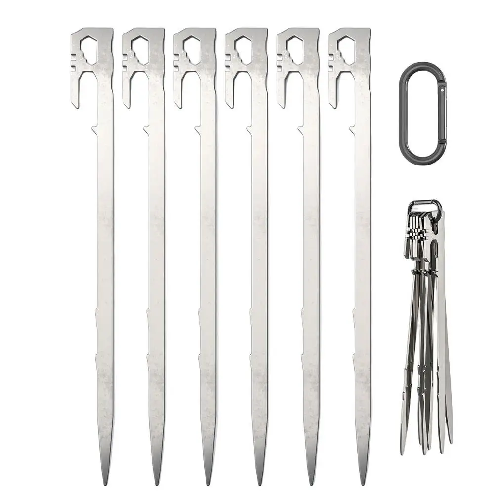 6PCS