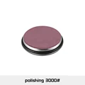 Polishing 3000