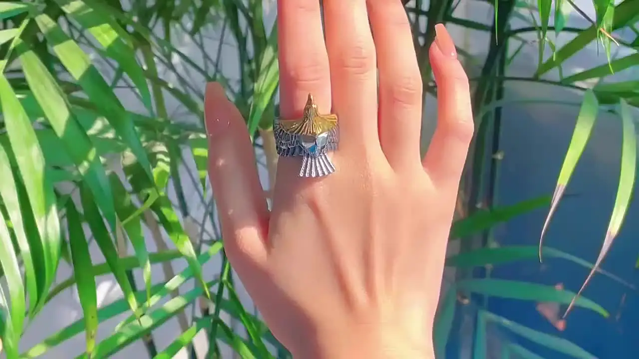 thumbnail interactive-video image 1 of 2024 New 4Pcs/Set Geometric Evil Eyes Ring Set Gothic Punk Vintage Antique Silver Eagle Rings For Men Anillos Anel Masculino 1 of 14