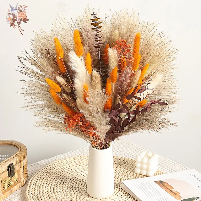 Natural Fluffy Pampas Grass Dried Flowers Bouquet Orange Boho