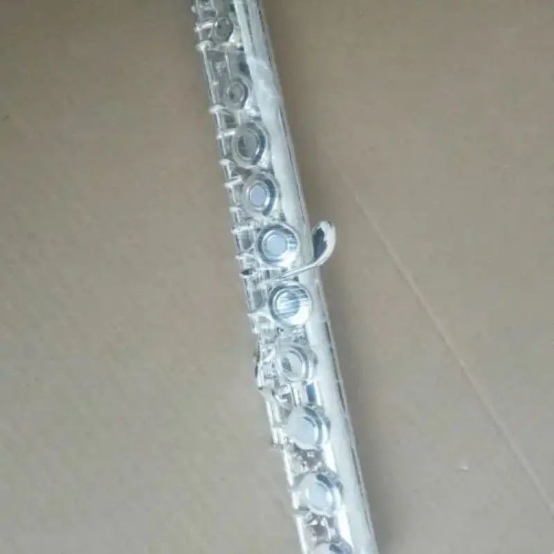 Silver Plated C Tone E Key 16 Open Hole Flute with Case-Excellent Quality Music Instrument