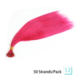 Vibrant 16-Inch Synthetic Feather Hair Extensions - 50 Strands Pack - 16inches-50 pcs (12)