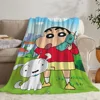 Hood Blanket Oversized 200x300 Crayon Shins Chan Thermal Blankets for Bed Throw Blanket for Sofa Luxury Blankets King Size Knee 2