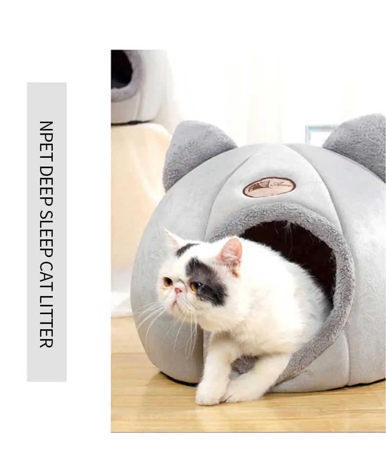 S20de078cc7ef4d1694198f0453a24d9fL