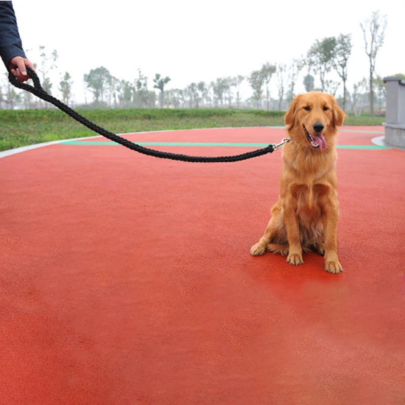 Nylon Dog Harness Leash Medium Large Dogs Leads Pet Training Running Walking Safety Mountain Climb Dog Leash Dog Harness