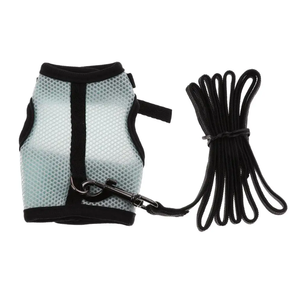 Squirrel Harness with Leash Adjustable Soft Mesh Comfortable Breathable https://ae01.alicdn.com/kf/S20df904e664748b9ba3c39e1734e0484g.jpg