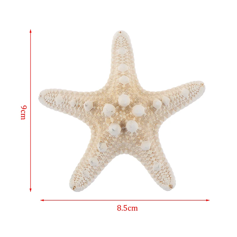 1pcs Starfish Crafts Decor Starfish DIY Shell Sea Fish Party Beige Decor