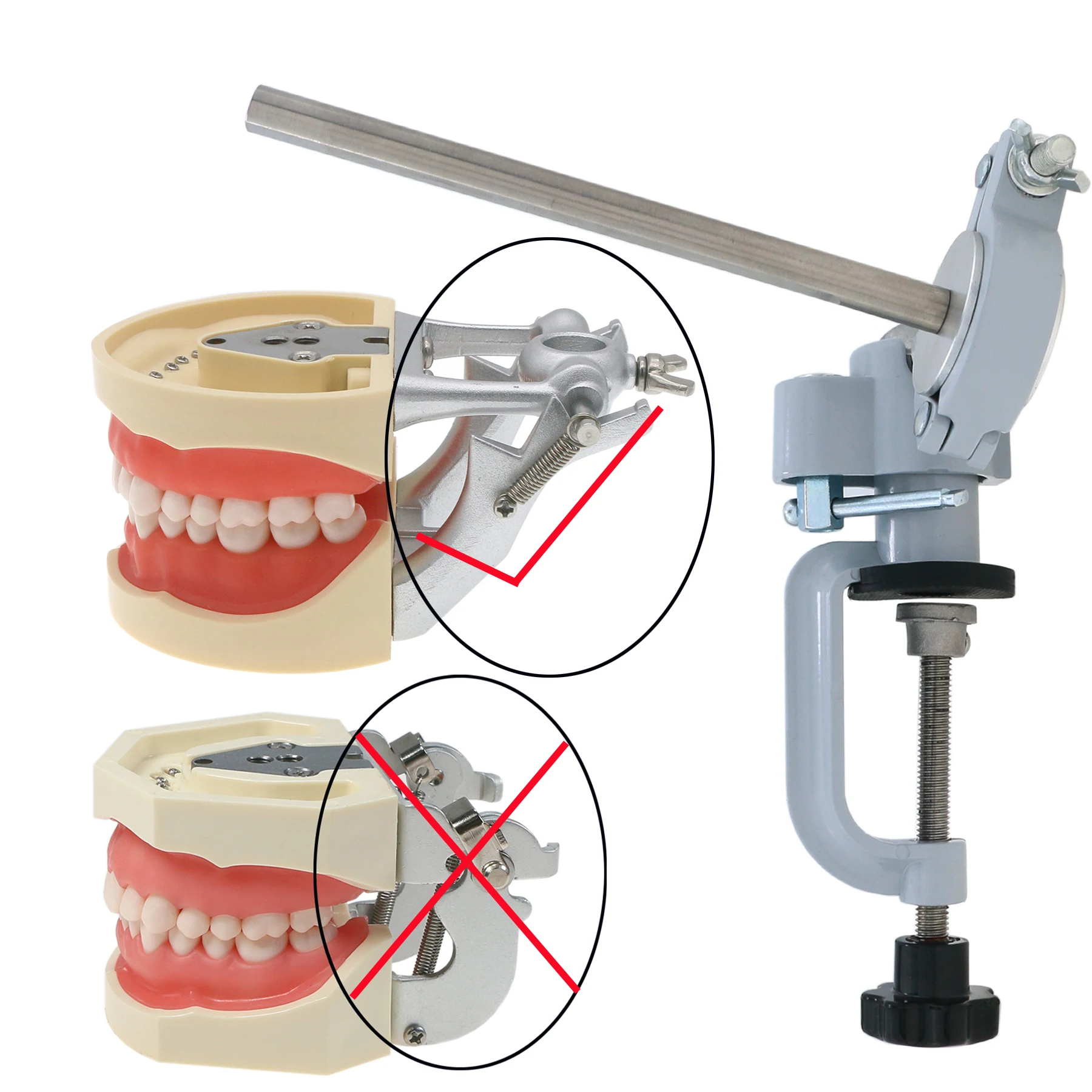 Зубная модель зубного столба, регулируемая фиксация на столе на 360 ° для баскетбола kilgodnissin Колумбия Dentoform Frasaco и т. Д.