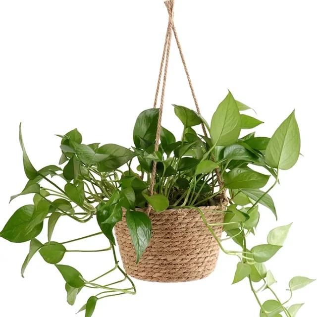 Mir de rangement pour plantes en macramé, jardinière de jardin, ULde jute tissée, porte-pot de fleurs intérieur et extérieur, cintres pour plantes, maison D, 1 ensemble 6