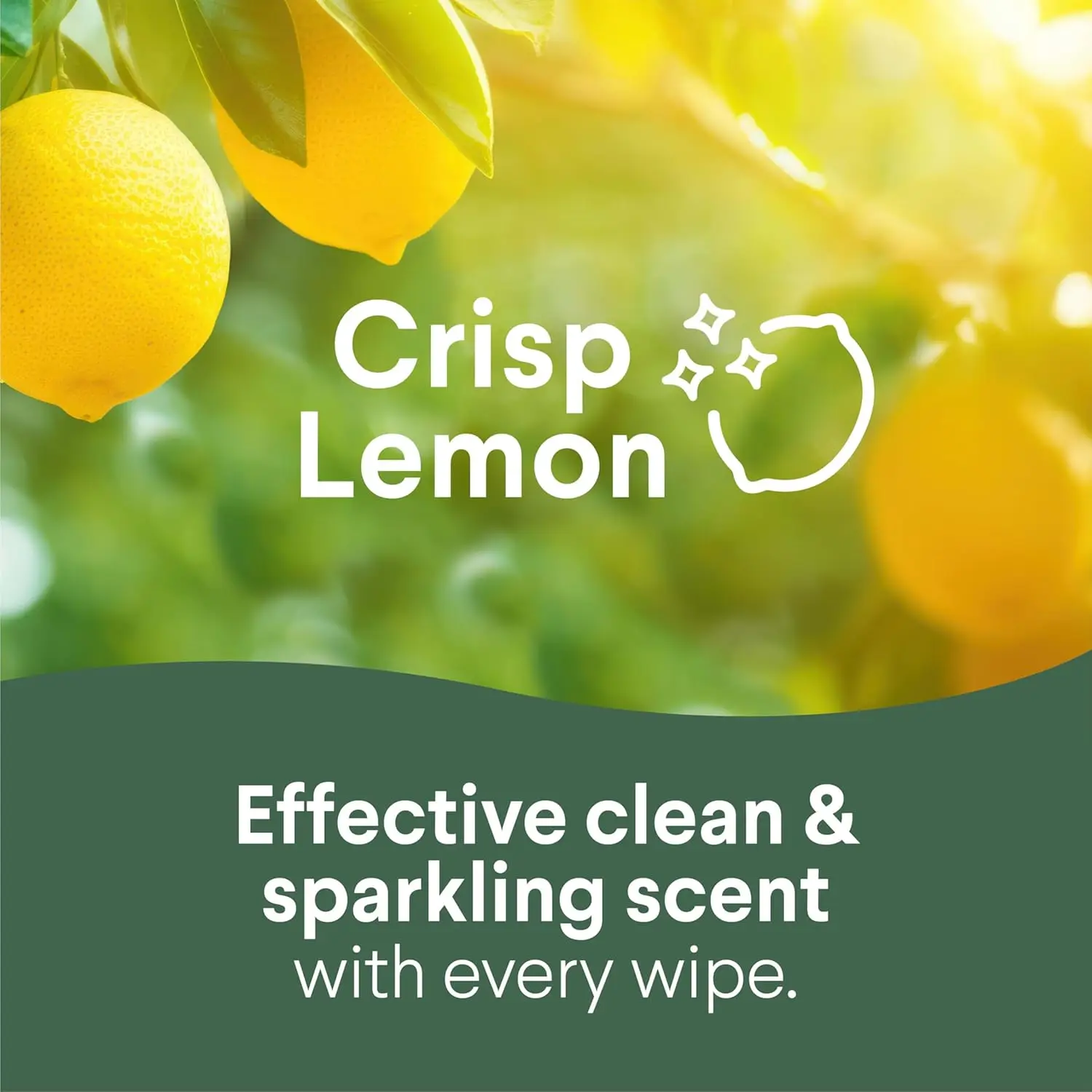Lingettes désinfectantes sans eau de Javel posées près d'un gel hydroalcoolique, utilisation quotidienne.
