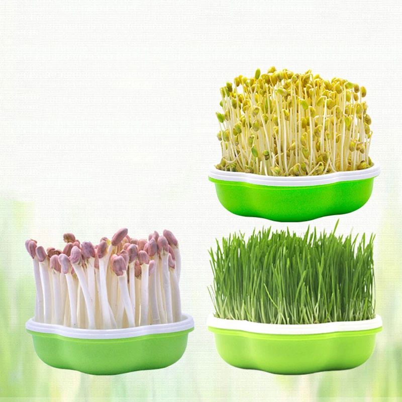 Garden Hydroponic Peanut Sprout Box Bean Pea Wheat Seedling Sprouter Tray Grass 2