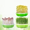 Garden Hydroponic Peanut Sprout Box Bean Pea Wheat Seedling Sprouter Tray Grass 2