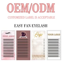 Custom 20 Trays Spikes Wet Lashes J B Curl Manga Lashes Extension 2