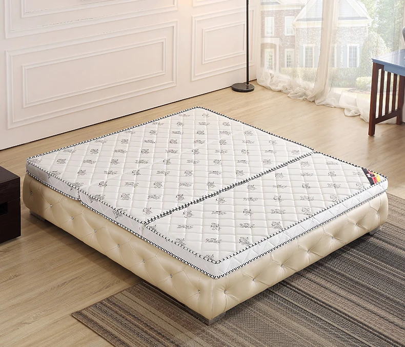 Description Picture 2 of itemDropshipping Customizable Size Mattress Soft Mattress Home Tatami Mat Was The Floor Mat Student ZHA03-43999