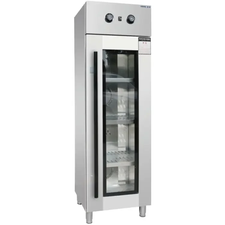 Lyroe Hot Air Circulation Stainless Steel Vertical High Temperature Visible Disinfecting Cabinets 3