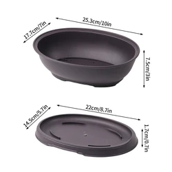 Elegant Rectangular Purple Clay Look Flowerpot for Outdoor Garden and Bonsai Display (Oval S and tray)