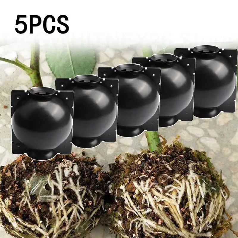 5Pcs Plant Rooting Ball Innesto Propagazione Growing Nursery Box Allevamento Custodia Ad Alta Pressione Contenitore Per Radici Di Piante Attrezzi Da G