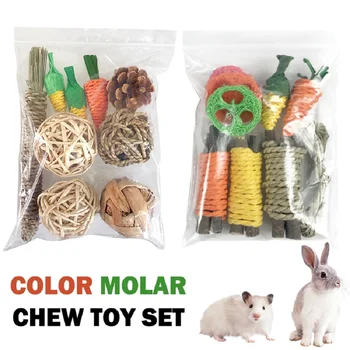 Pet Tooth Grinding Toy & Snack Set for Small Animals 1