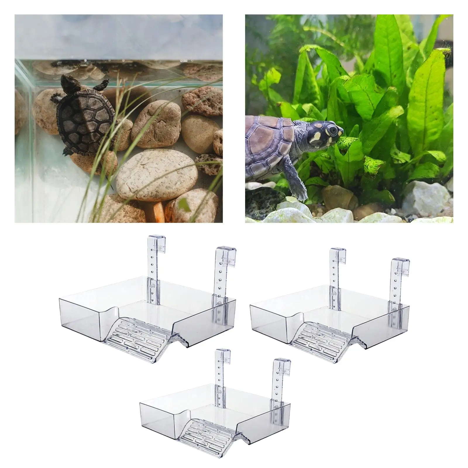 Hanging Turtle Basking Platform Resting Terrace Transparent Tortoise Ramp