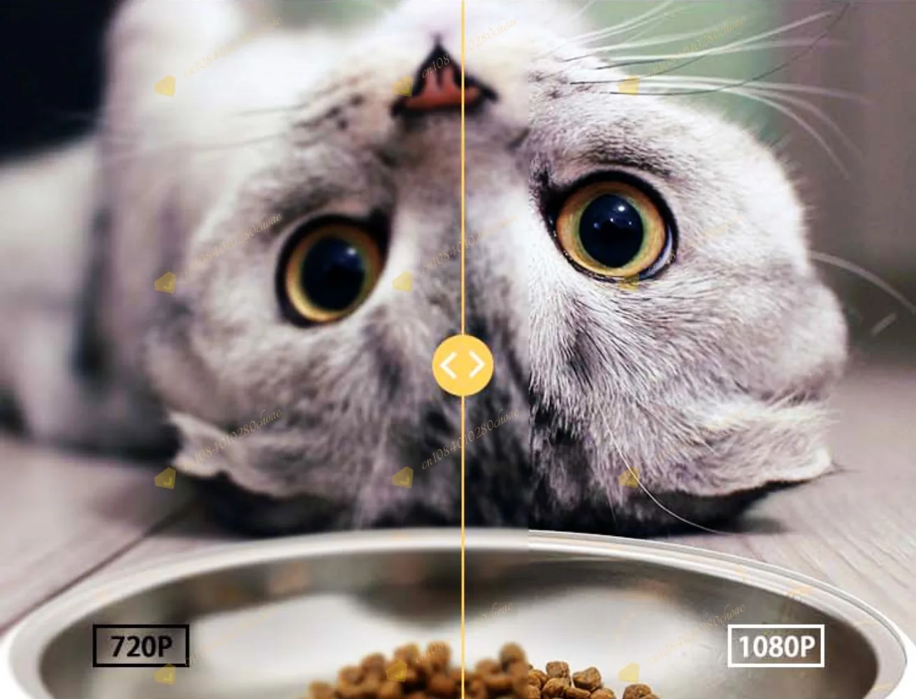 Smart WiFi Pet Slow Feeder with Mobile App Remote Control New Double Saving Stai